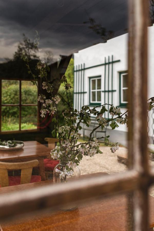 Апартаменты Haus Enzian Хинтерстодер Экстерьер фото