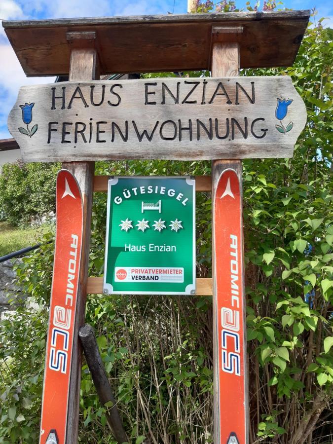 Апартаменты Haus Enzian Хинтерстодер Экстерьер фото