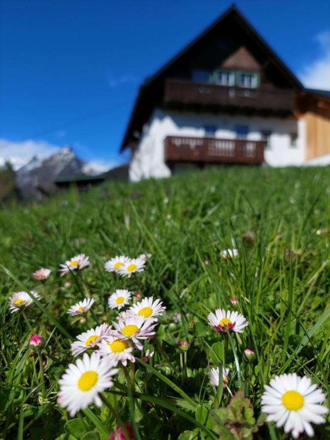 Апартаменты Haus Enzian Хинтерстодер Экстерьер фото